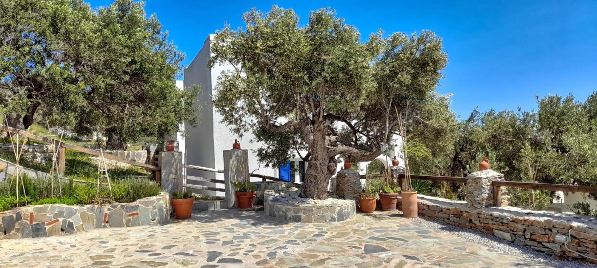 Aspra Chomata Villas Caristo Exterior foto